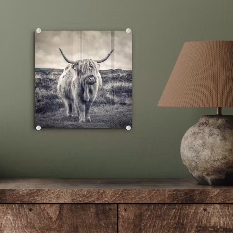 Schotse hooglander - Dieren - Wolken - Koe - Natuur plexiglas 5mm klein -sfeer3