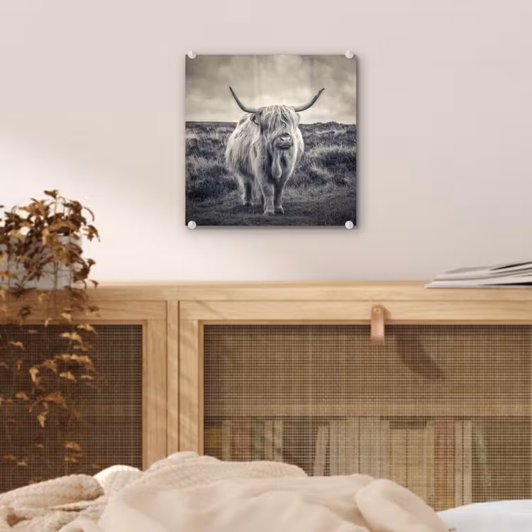Schotse hooglander - Dieren - Wolken - Koe - Natuur plexiglas 5mm klein -sfeer4