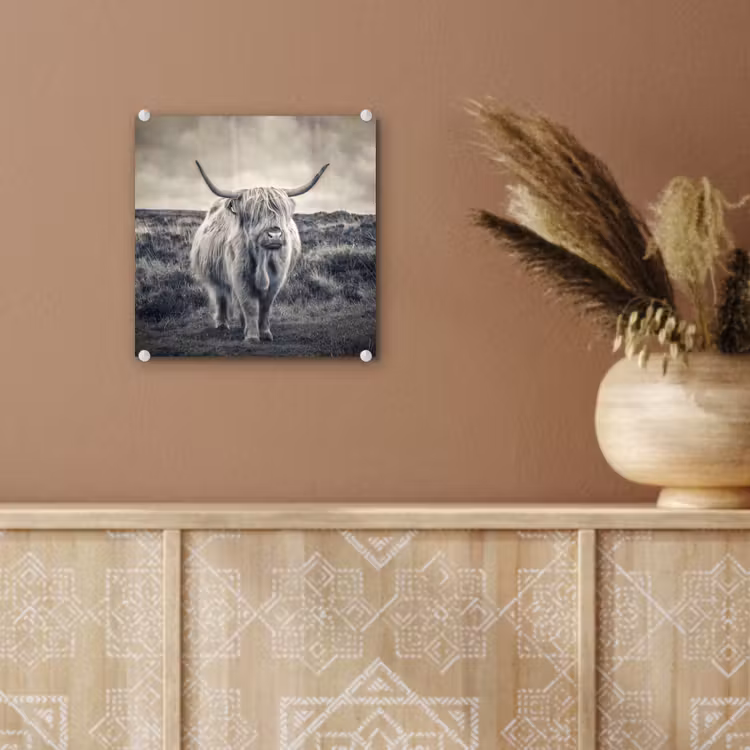Schotse hooglander - Dieren - Wolken - Koe - Natuur plexiglas 5mm klein -sfeer5