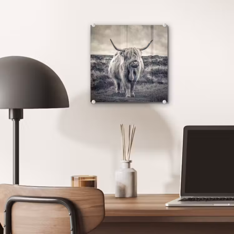 Schotse hooglander - Dieren - Wolken - Koe - Natuur plexiglas 5mm klein -sfeer6