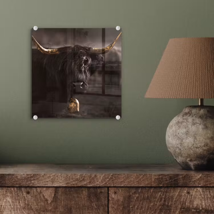 Schotse hooglander - Goud - Koebel - Hoorns - Dieren plexiglas 5mm klein -sfeer3