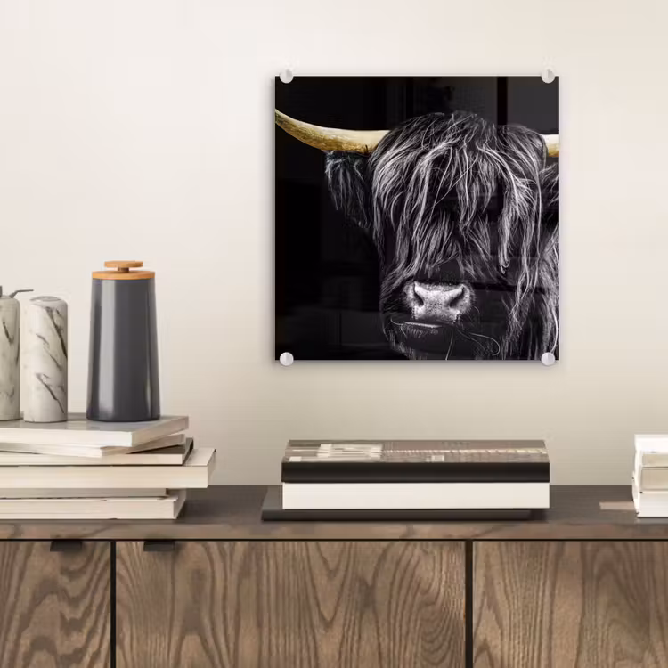 Schotse hooglander - Goud - Vacht - Dieren - Koe plexiglas 5mm klein -sfeer1