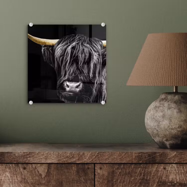Schotse hooglander - Goud - Vacht - Dieren - Koe plexiglas 5mm klein -sfeer3