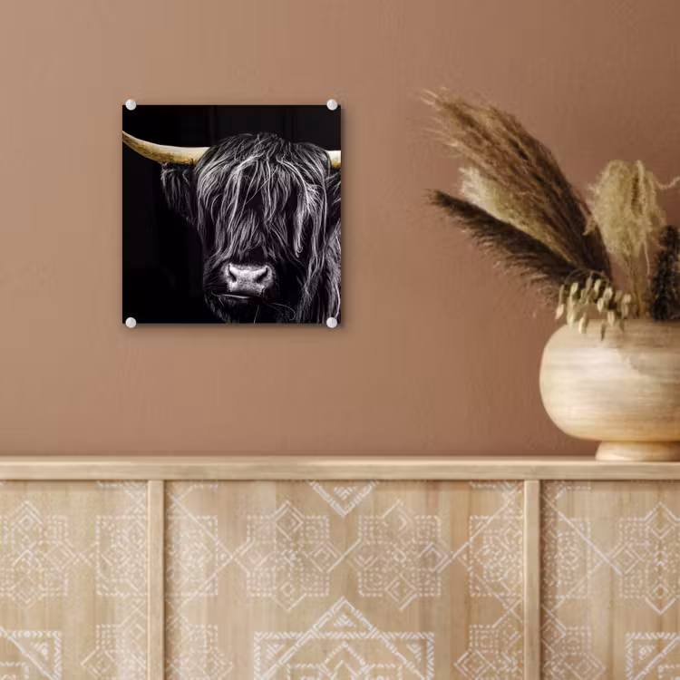 Schotse hooglander - Goud - Vacht - Dieren - Koe plexiglas 5mm klein -sfeer5