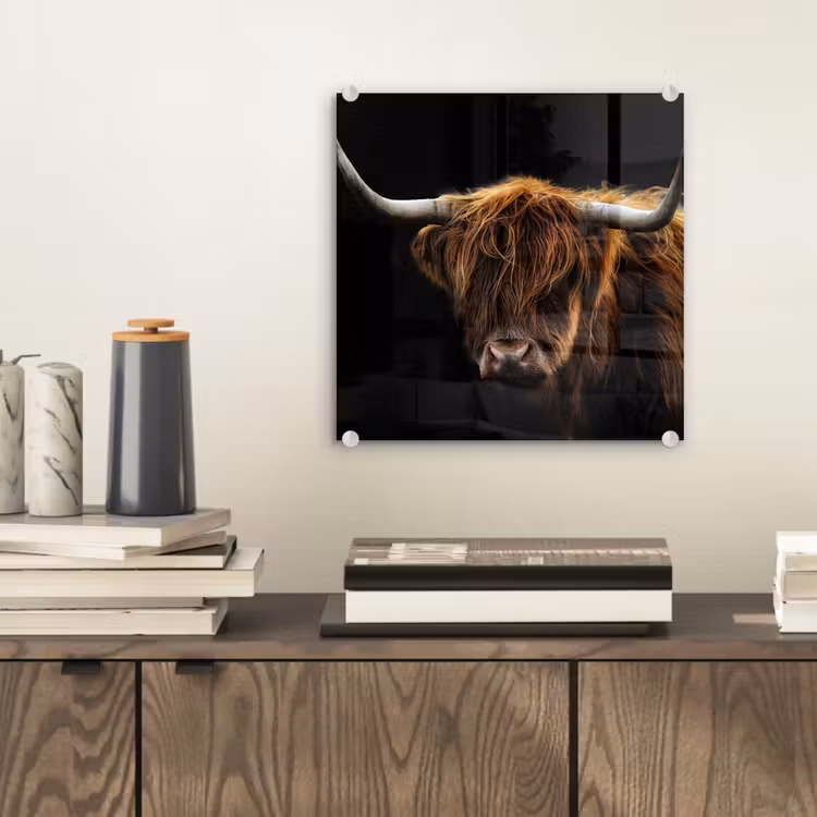 Schotse Hooglander - Horens - Zwart - Dieren - Natuur - Wild - Koe plexiglas 5mm klein -sfeer1