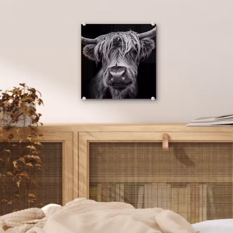 Schotse Hooglander - Horens - Zwart - Wit - Koe - Wild - Dieren plexiglas 5mm klein -sfeer4