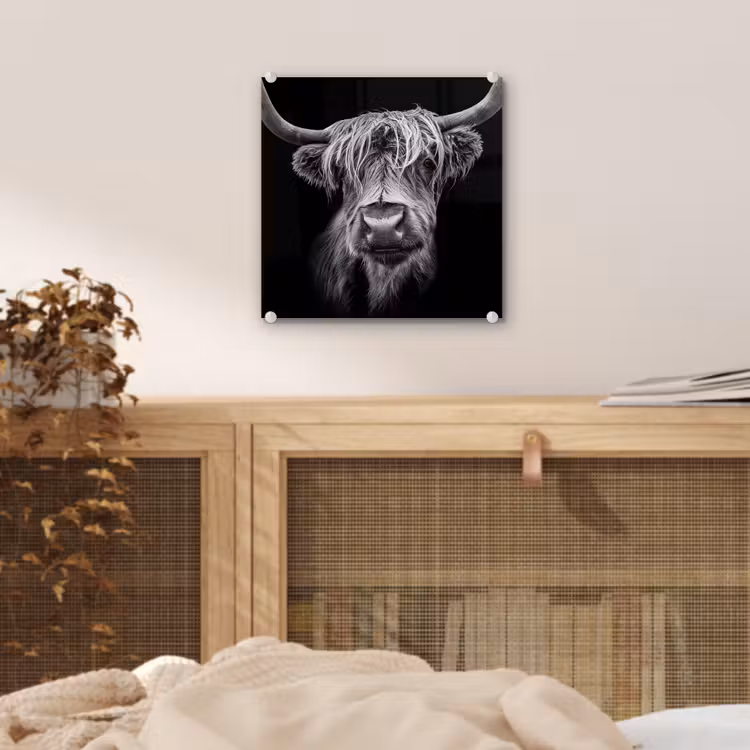 Schotse Hooglander - Horens - Zwart - Wit - Koe - Wild - Dieren plexiglas 5mm klein -sfeer4