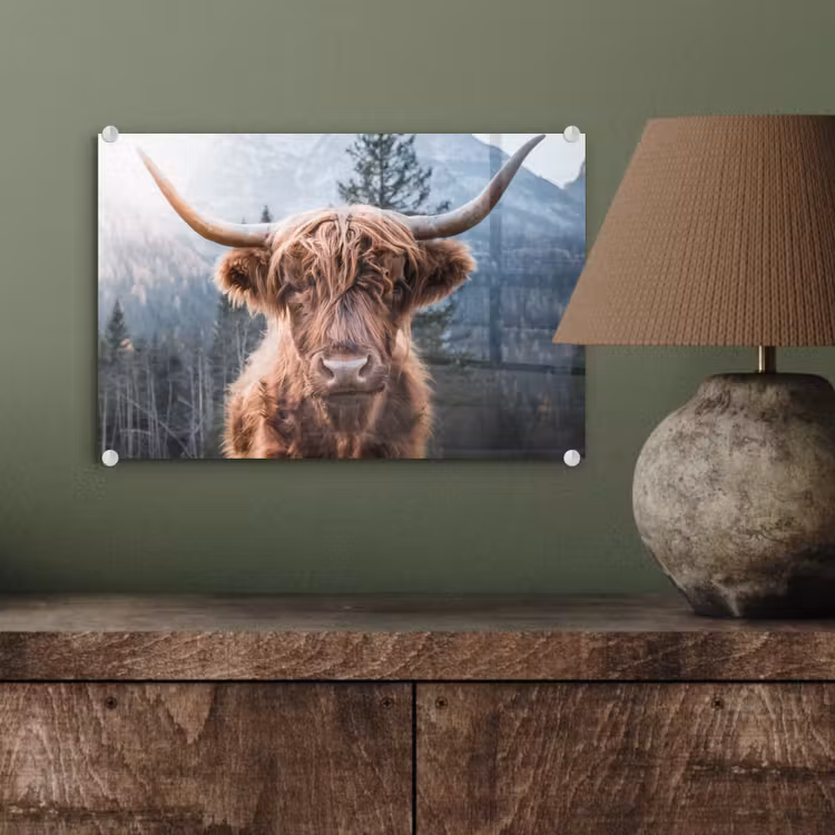 Schotse hooglander - Koe - Dieren - Berg - Natuur plexiglas 5mm klein -sfeer3