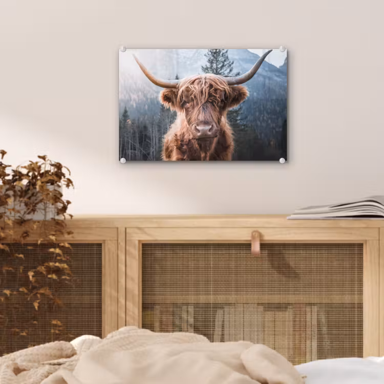 Schotse hooglander - Koe - Dieren - Berg - Natuur plexiglas 5mm klein -sfeer4