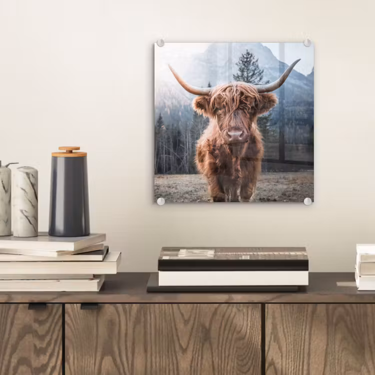 Schotse hooglander - Koe - Dieren - Berg - Natuur plexiglas 5mm klein -sfeer1