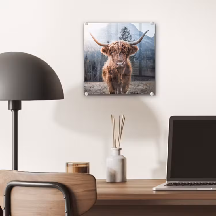 Schotse hooglander - Koe - Dieren - Berg - Natuur plexiglas 5mm klein -sfeer6