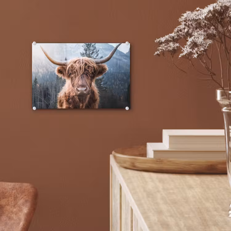 Schotse hooglander - Koe - Dieren - Berg - Natuur plexiglas 5mm klein -sfeer5
