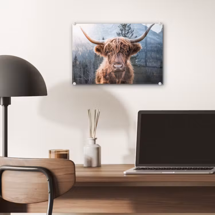 Schotse hooglander - Koe - Dieren - Berg - Natuur plexiglas 5mm klein -sfeer6