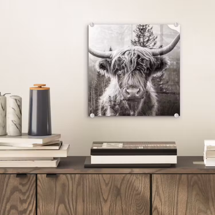 Schotse hooglander - Koe - Dieren - Zwart - Wit plexiglas 5mm klein -sfeer1