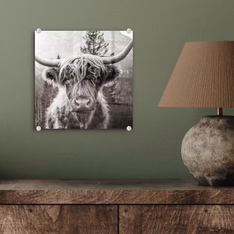 Schotse hooglander - Koe - Dieren - Zwart - Wit plexiglas 5mm klein -sfeer3