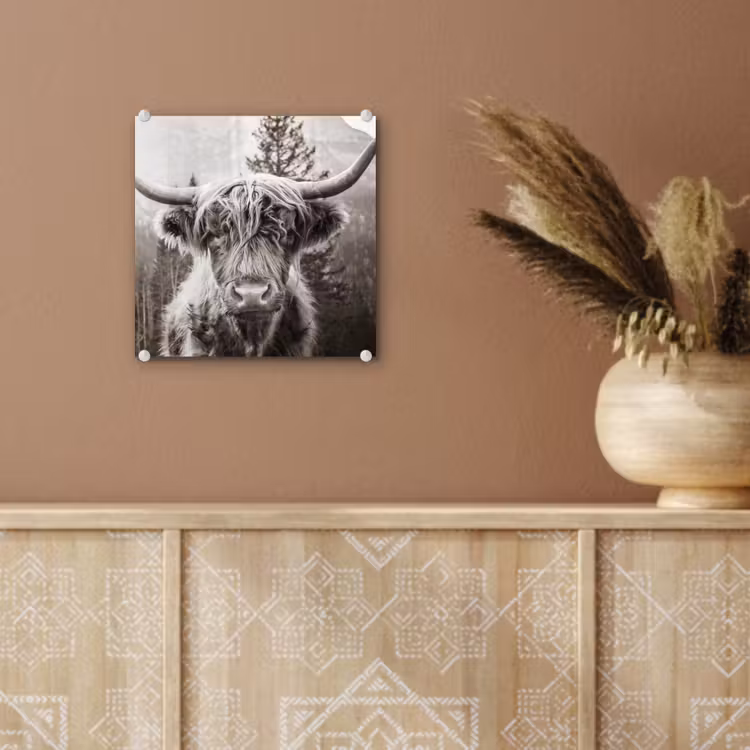 Schotse hooglander - Koe - Dieren - Zwart - Wit plexiglas 5mm klein -sfeer5