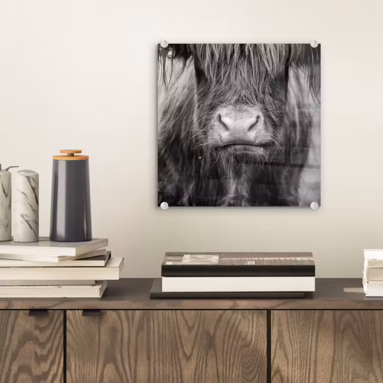 Schotse hooglander - Koe - Zwart - Wit - Dieren plexiglas 5mm klein -sfeer1