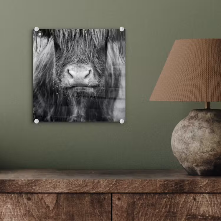 Schotse hooglander - Koe - Zwart - Wit - Dieren plexiglas 5mm klein -sfeer3