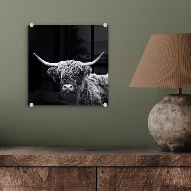 Schotse Hooglander - Koe - Zwart - Wit - Dieren plexiglas 5mm klein -sfeer3