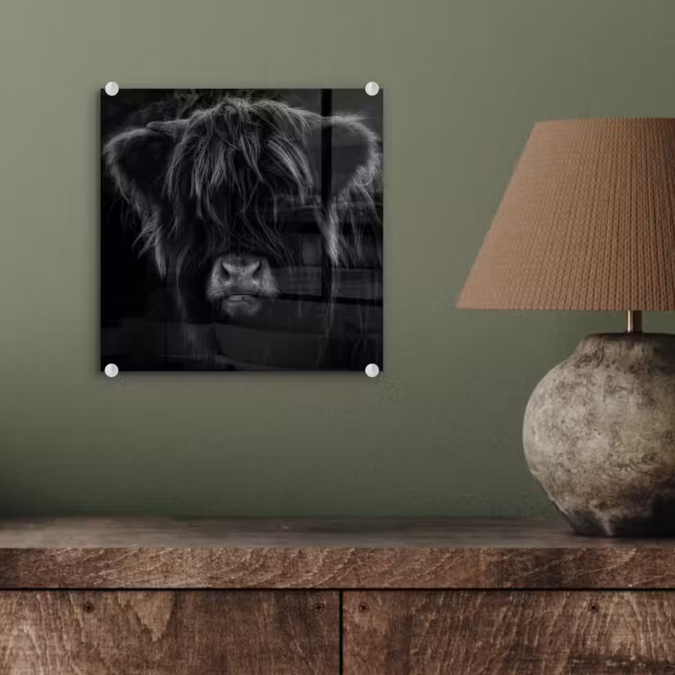 Schotse hooglander - Koe - Zwart - Wit - Dieren plexiglas 5mm klein -sfeer3