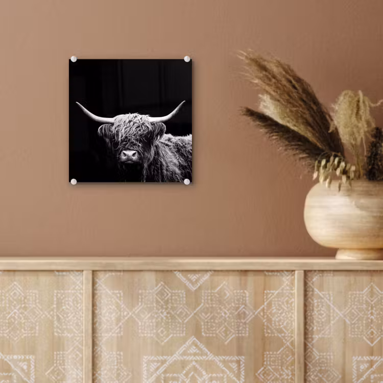 Schotse Hooglander - Koe - Zwart - Wit - Dieren plexiglas 5mm klein -sfeer5