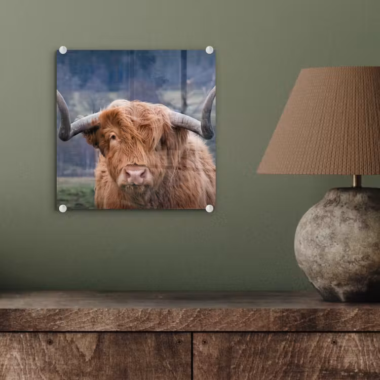 Schotse Hooglander - Koeienkop - Landschap - Natuur - Koe plexiglas 5mm klein -sfeer3