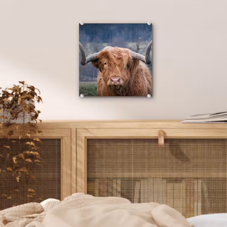 Schotse Hooglander - Koeienkop - Landschap - Natuur - Koe plexiglas 5mm klein -sfeer4