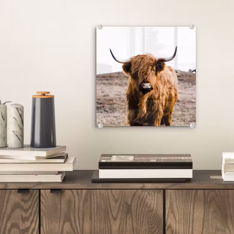 Schotse hooglander - Landschap - Koe - Bruin - Dieren - Natuur plexiglas 5mm klein -sfeer1