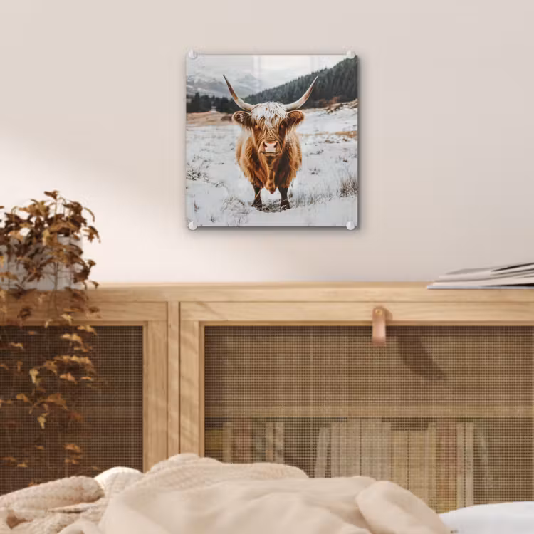 Schotse Hooglander - Landschap - Sneeuw - Bergen - Winter plexiglas 5mm klein -sfeer4