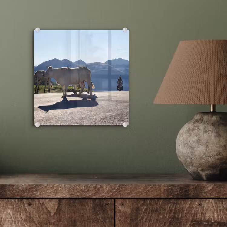 Schotse hooglander - Licht - Berg - Natuur plexiglas 5mm klein -sfeer3