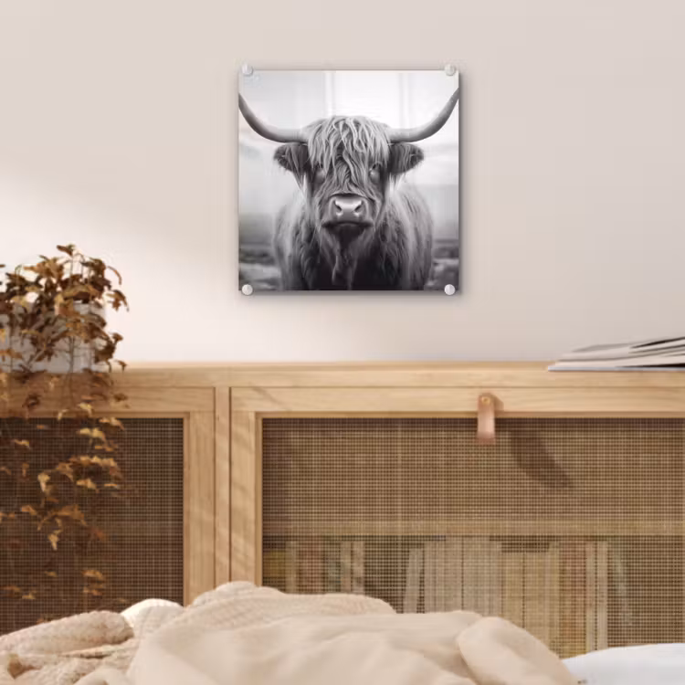Schotse hooglander - Mist - Zwart - Wit plexiglas 5mm klein -sfeer4
