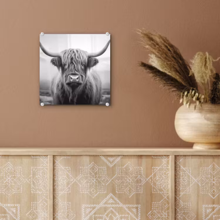 Schotse hooglander - Mist - Zwart - Wit plexiglas 5mm klein -sfeer5