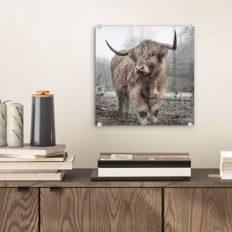 Schotse hooglander - Natuur - Herfst - Dieren - Wild - Bos plexiglas 5mm klein -sfeer1