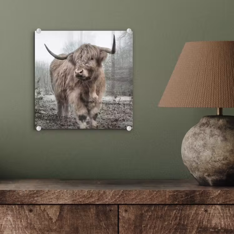Schotse hooglander - Natuur - Herfst - Dieren - Wild - Bos plexiglas 5mm klein -sfeer3