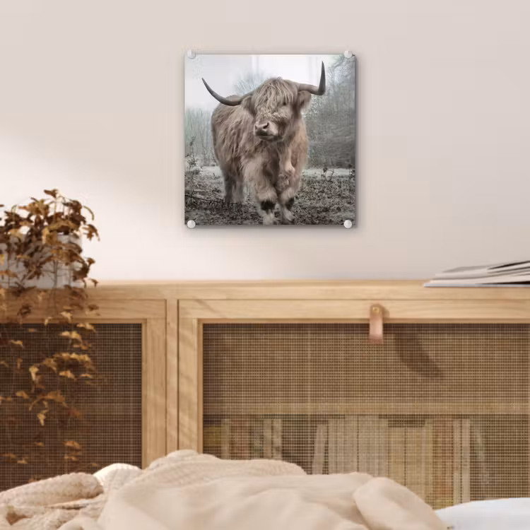 Schotse hooglander - Natuur - Herfst - Dieren - Wild - Bos plexiglas 5mm klein -sfeer4