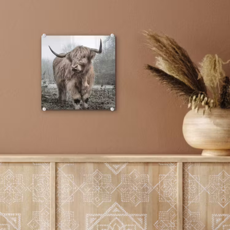 Schotse hooglander - Natuur - Herfst - Dieren - Wild - Bos plexiglas 5mm klein -sfeer5