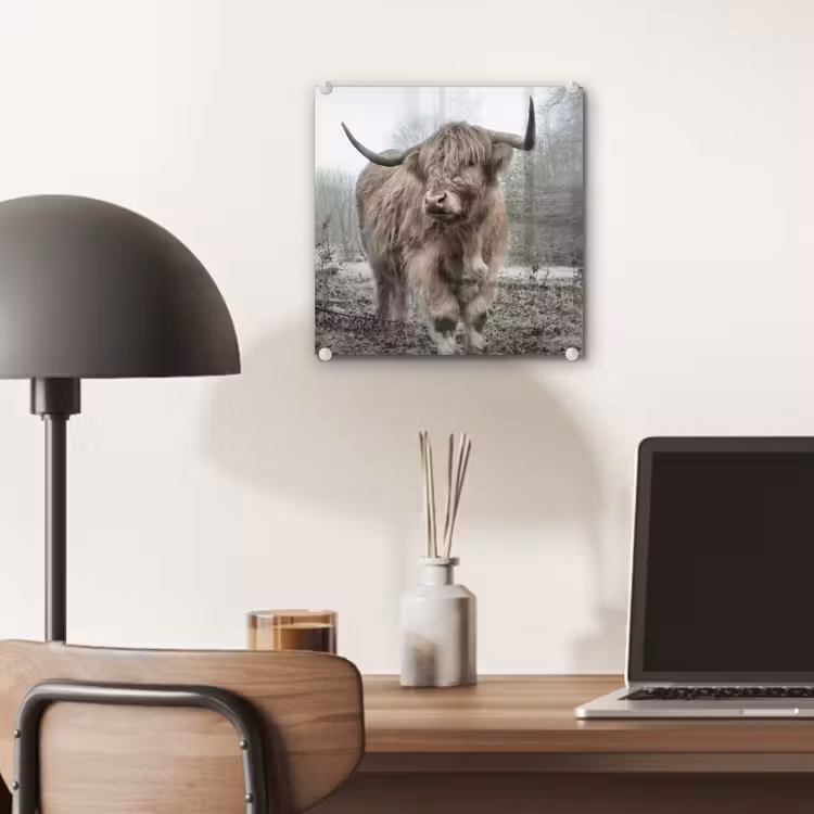 Schotse hooglander - Natuur - Herfst - Dieren - Wild - Bos plexiglas 5mm klein -sfeer6