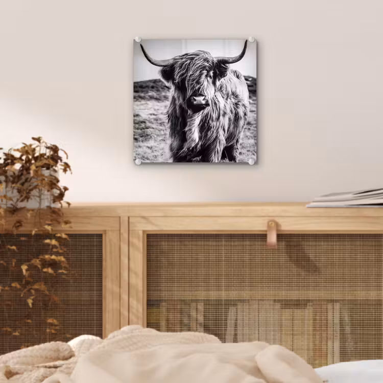 Schotse hooglander - Natuur - Koe - Zwart - Wit plexiglas 5mm klein -sfeer4