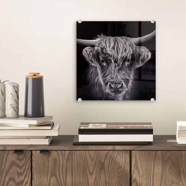 Schotse hooglander - Zwart - Koe - Dieren plexiglas 5mm klein -sfeer1
