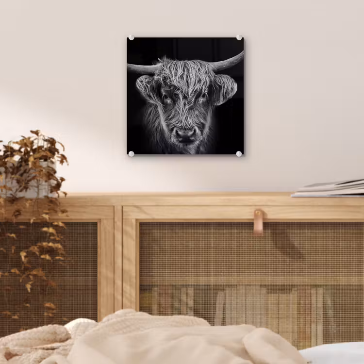 Schotse hooglander - Zwart - Koe - Dieren plexiglas 5mm klein -sfeer4