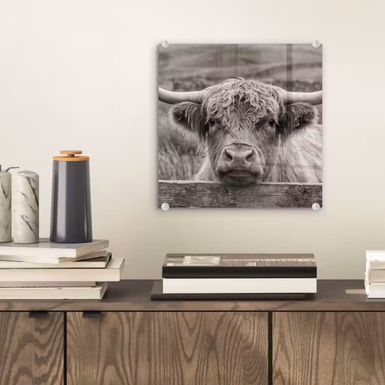 Schotse hooglander - Zwart - Wit - Hout plexiglas 5mm klein -sfeer1