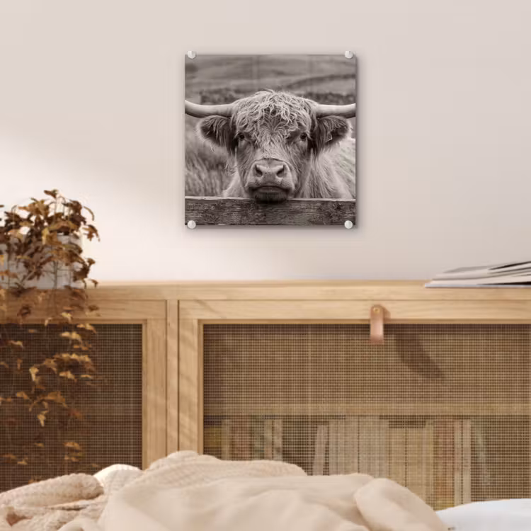Schotse hooglander - Zwart - Wit - Hout plexiglas 5mm klein -sfeer4