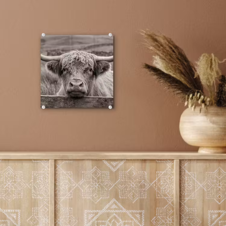 Schotse hooglander - Zwart - Wit - Hout plexiglas 5mm klein -sfeer5