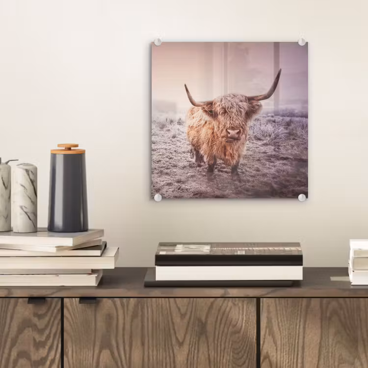 Schotse hooglanders - Licht - Lucht - Natuur plexiglas 5mm klein -sfeer1