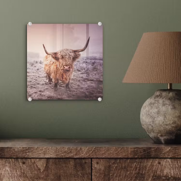 Schotse hooglanders - Licht - Lucht - Natuur plexiglas 5mm klein -sfeer3