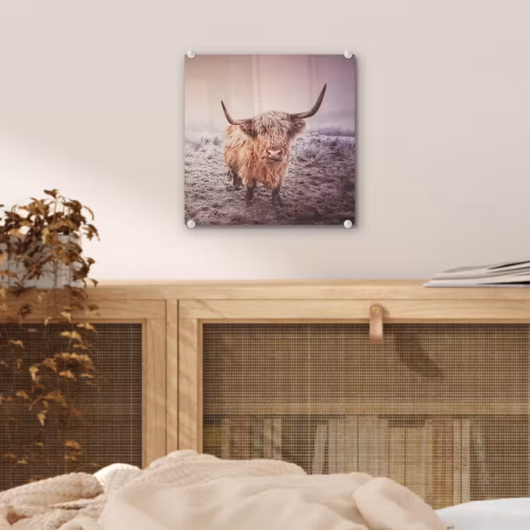 Schotse hooglanders - Licht - Lucht - Natuur plexiglas 5mm klein -sfeer4