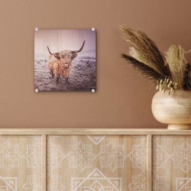 Schotse hooglanders - Licht - Lucht - Natuur plexiglas 5mm klein -sfeer5