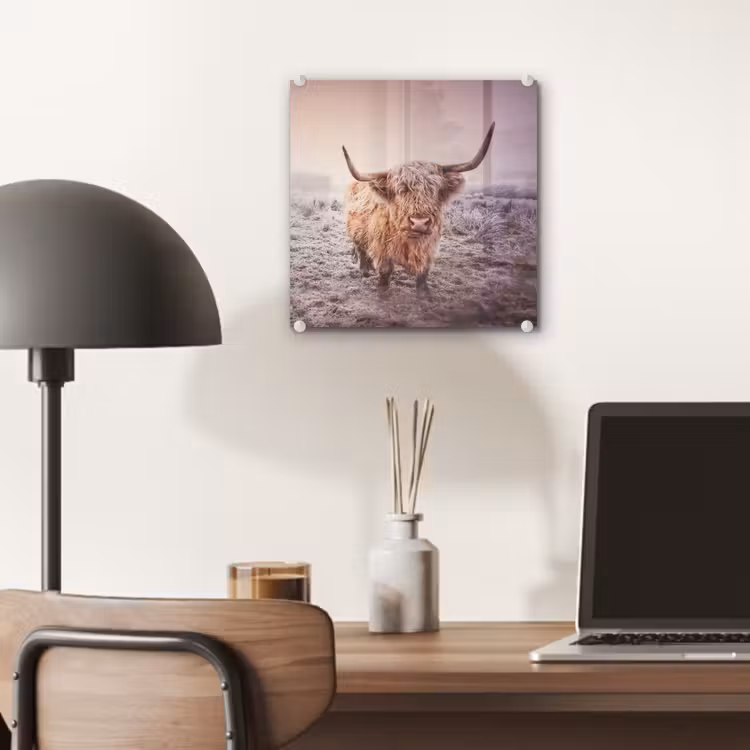 Schotse hooglanders - Licht - Lucht - Natuur plexiglas 5mm klein -sfeer6