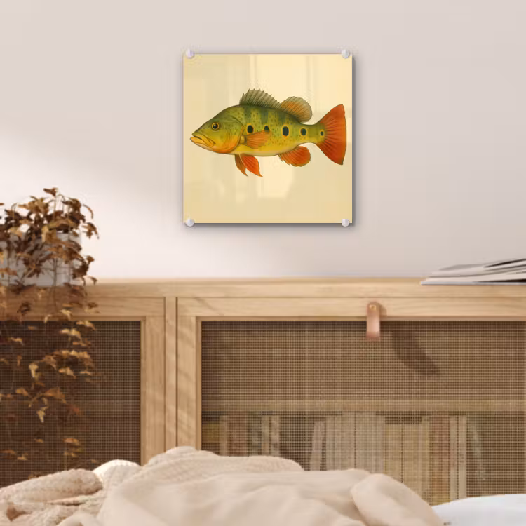 Schubben - Vis - Groen - Illustratie plexiglas 5mm klein -sfeer4