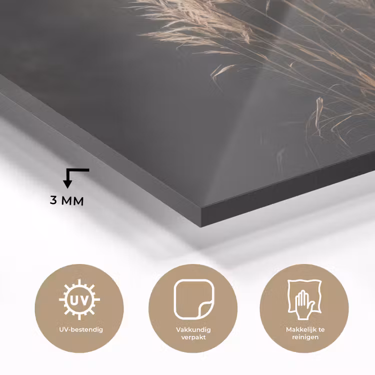 Siergras - Pluimen - Verlichting - Zwart plexiglas 5mm klein -sfeer2